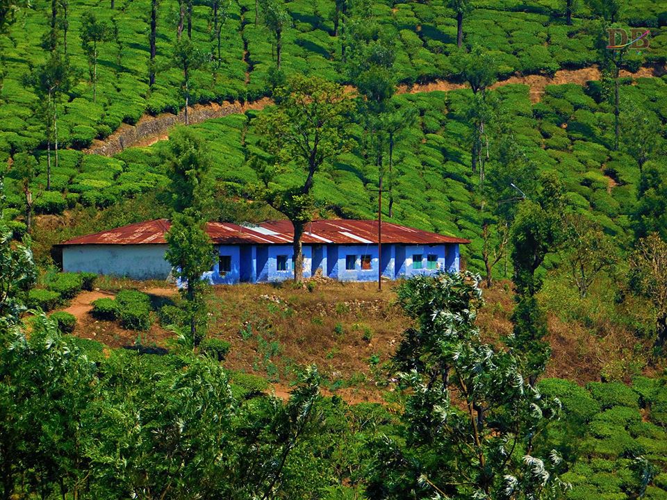 അതിരപ്പള്ളി -ഷോളയാർ-മലക്കപ്പാറ-വാൽപ്പാറ യാത്ര