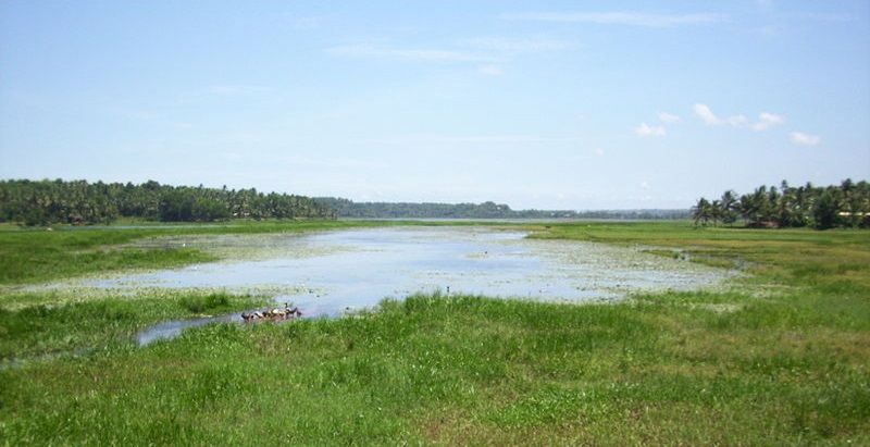 പോളച്ചിറ
