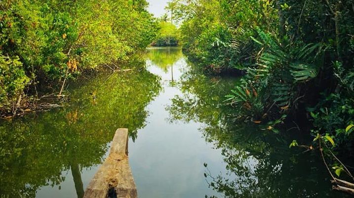 മൺറോ തുരുത്ത് എന്ന വിസ്മയം