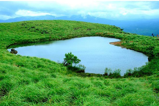 വയനാട്