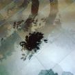 Onutės Gaidamavičiūtės fotografija