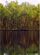 Onos Gaidamavičiūtės nuotr.