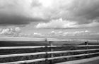 Cloud. Takanobu Hoshino nuotr.