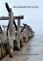 Tulgirdo nuotykiai. Romanas