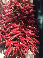 Be pavadinimo. Evelinos Kvartūnaitės nuotr.