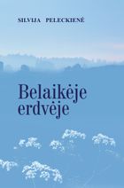 Beribis novelečių laikas