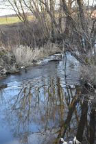 Onos Gaidamavičiūtės nuotr.