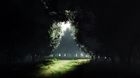 https://www.wallpaperflare.com/darkness-to-light-forest-exit-entrance-none-1920x1080-nature-forests-hd-art-wallpaper-sfbxm