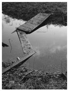 Algirdo Markevičiaus fotografija