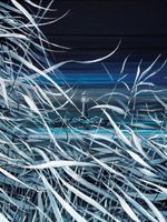 Pajūrio gamtos estetika ir meditatyvumas Mariaus Morkūno paveiksluose | Onutė Gaidamavičiūtė