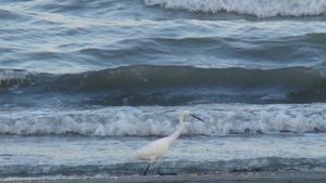 On the road to Tabriz...