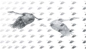 Agnė Naunikaitė. Išnykstantys (8). 2013