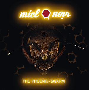 Review. MIEL NOIR. The Phoenix-Swarm (2019). Suddenly mountains Appearing, disappearing Lightning silhouettes