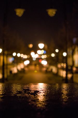 Algirdo Markevičiaus fotografija