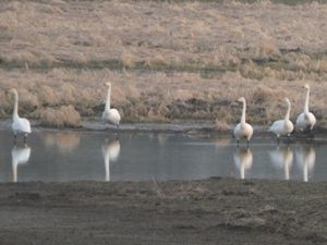 Onutė Gaidamavičiūtės fotografija