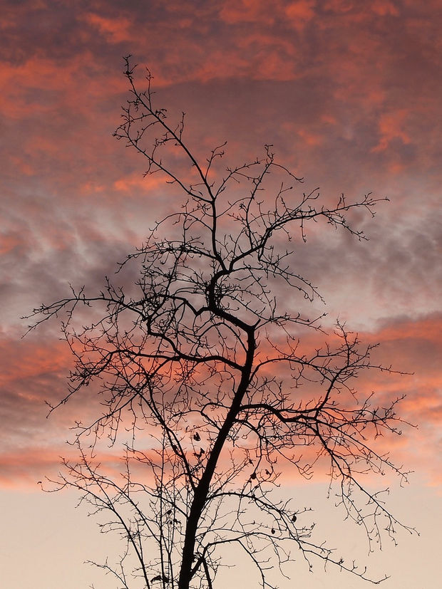 Be pavadinimo. Algirdo Markevičiaus nuotr.
