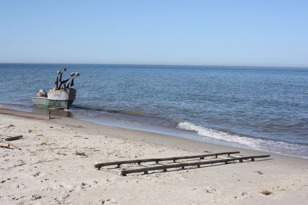 Be pavadinimo. dttv nuotr.