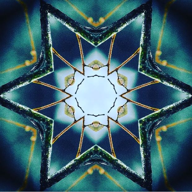 Onos Gaidamavičiūtės nuotr.