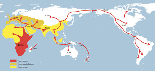Human migration from Africa to Eurasia: individual languages as separate elements in the overall structure of linguistic formations – families and groups
