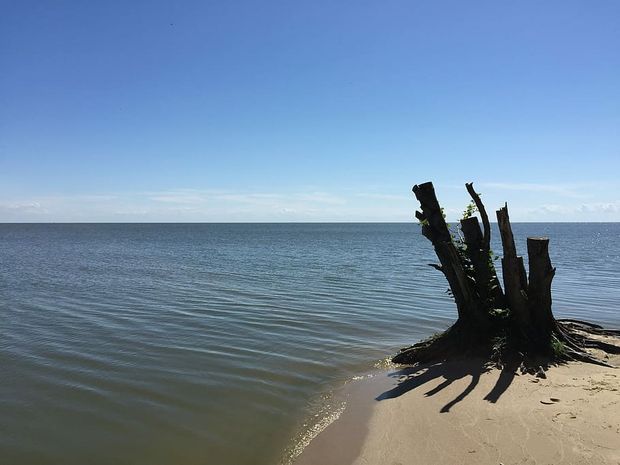 https://www.wallpaperflare.com/nida-lithuania-water-ocean-beach-summer-nature-glance-wallpaper-zqjpp