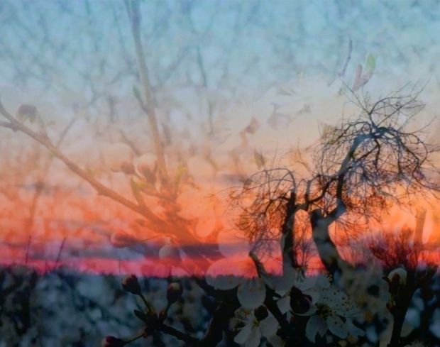 Onutės Gaidamavičiūtės fotografija