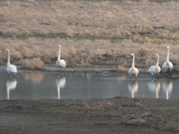Onutė Gaidamavičiūtės fotografija