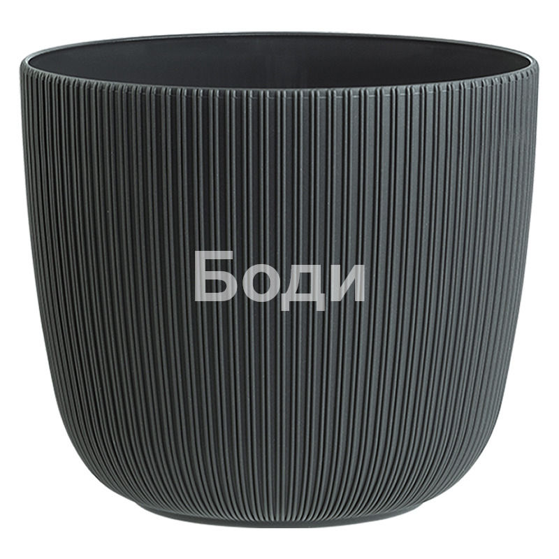 ДРИНА САКСИЯ ВИОЛА Ф 34 2