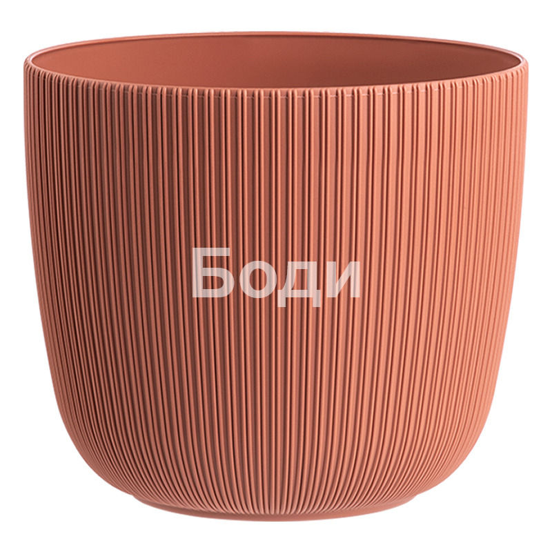 ДРИНА САКСИЯ ВИОЛА Ф 34 4