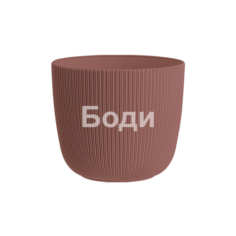 ДРИНА САКСИЯ ВИОЛА Ф 15 2
