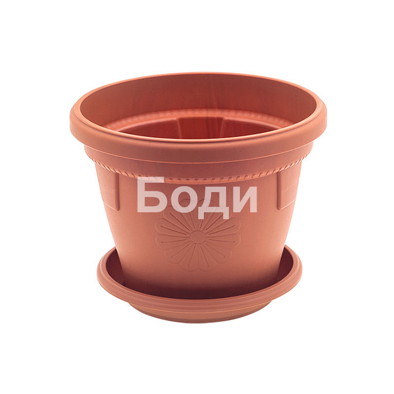 ДРИНА КАШПА ГЕРБЕР Ф 20 19