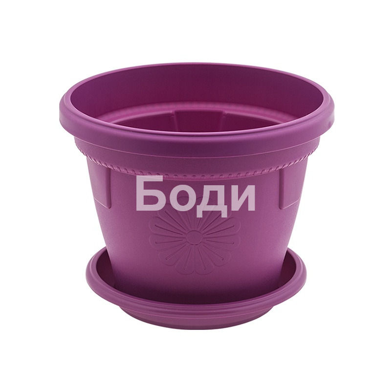 ДРИНА САКСИЯ ГЕРБЕР Ф 25 2
