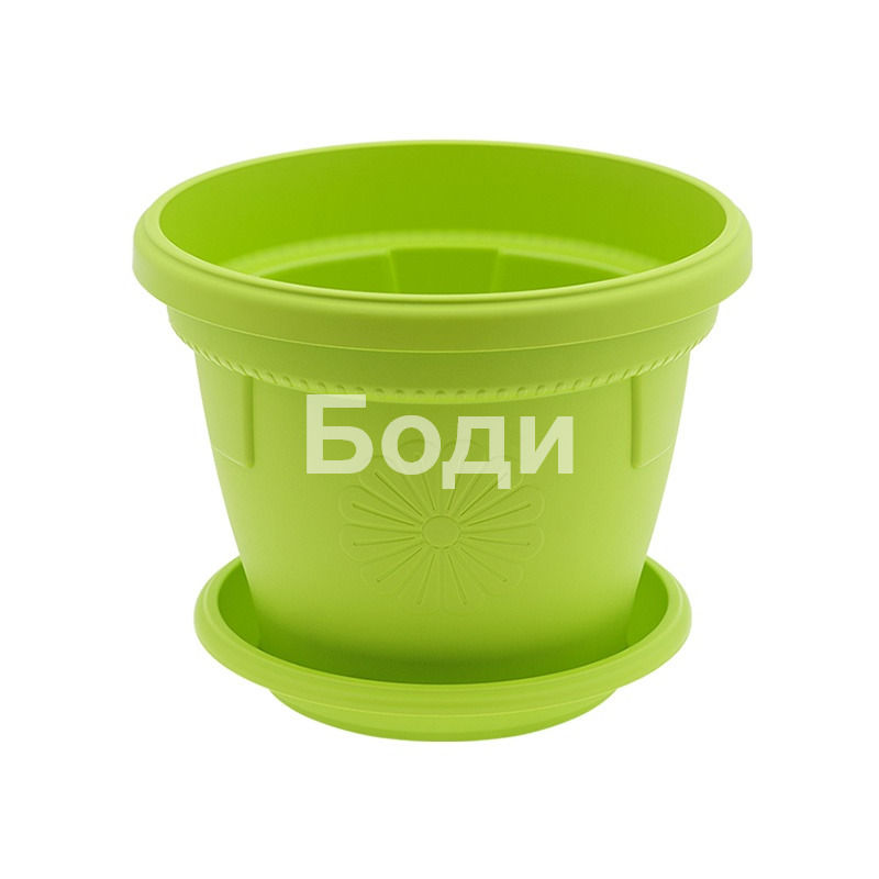 ДРИНА САКСИЯ ГЕРБЕР Ф 25 6