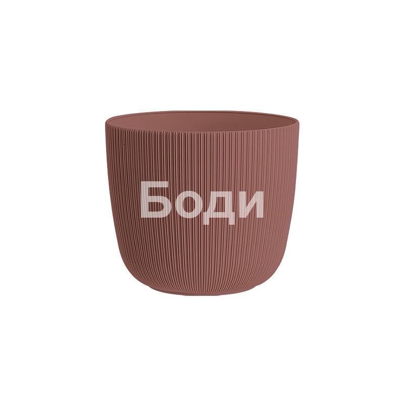 ДРИНА САКСИЯ ВИОЛА Ф 12 2