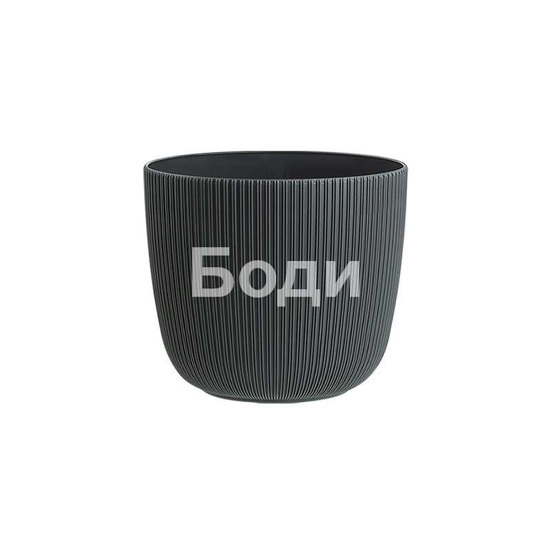 ДРИНА САКСИЯ ВИОЛА Ф 12 14