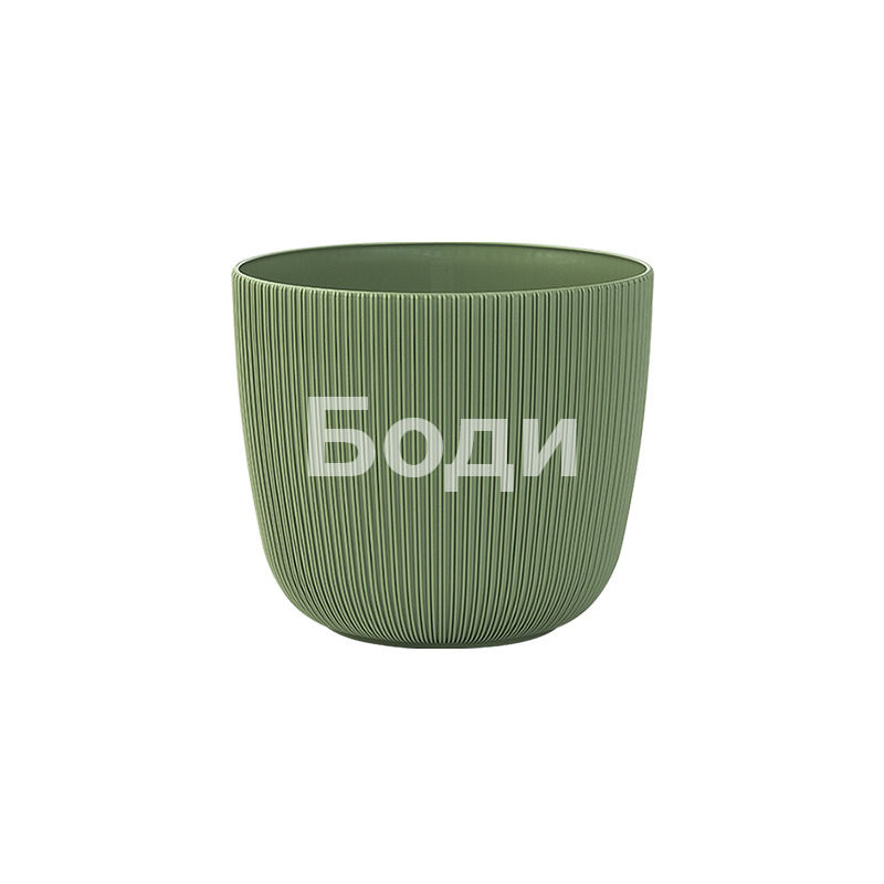 ДРИНА САКСИЯ ВИОЛА Ф 12 16