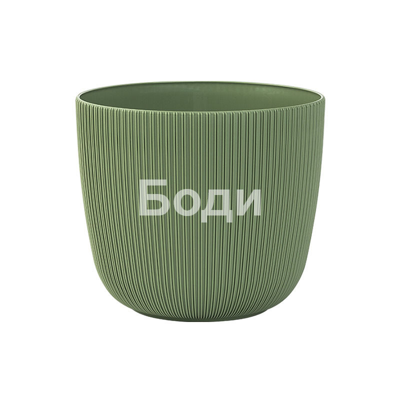 ДРИНА САКСИЯ ВИОЛА Ф.18
