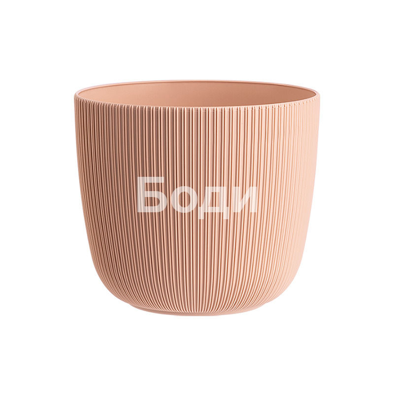 ДРИНА САКСИЯ ВИОЛА Ф.18 2