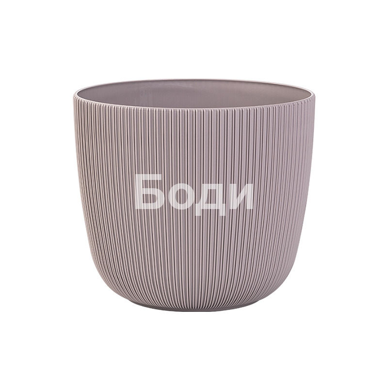 ДРИНА САКСИЯ ВИОЛА Ф.18 3