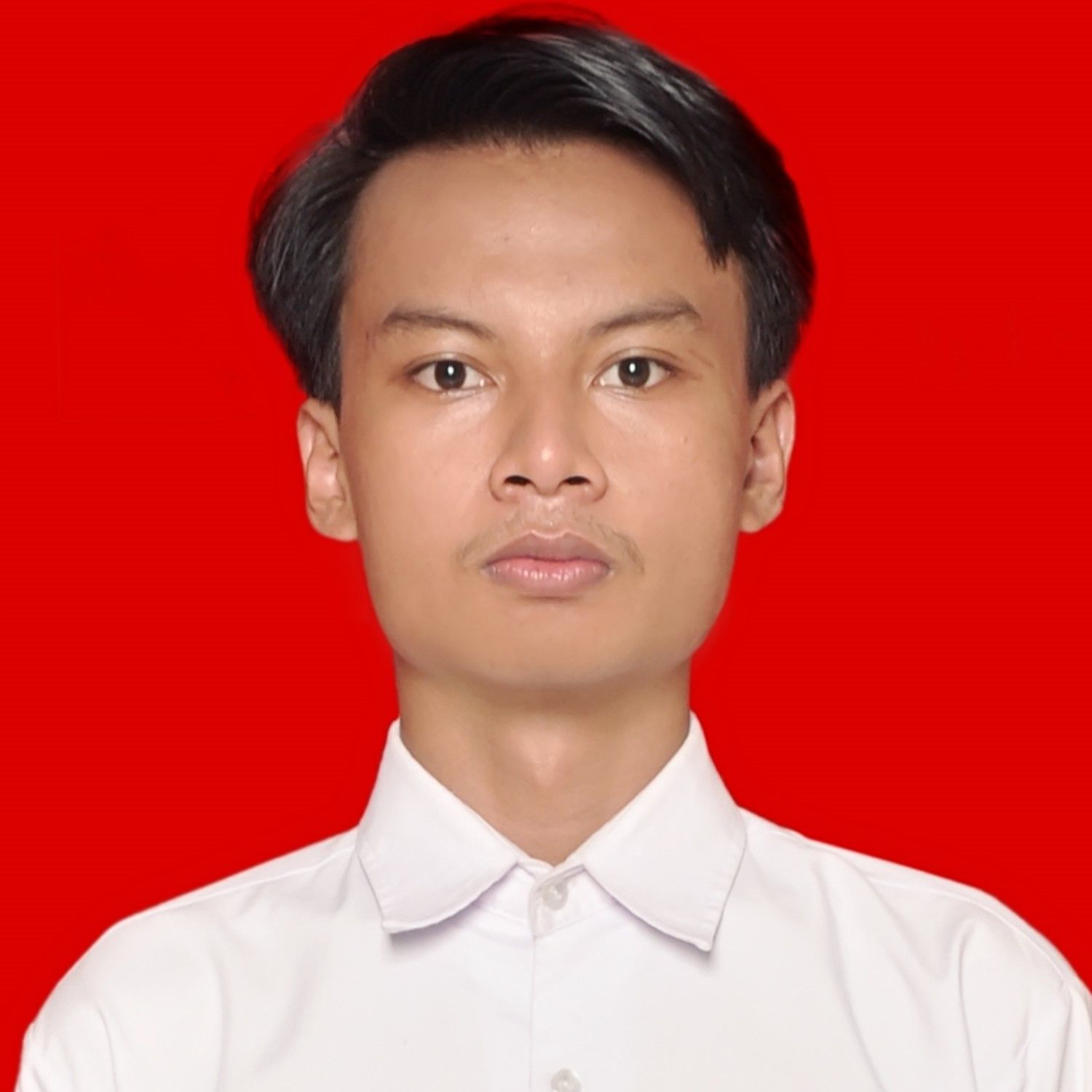 curriculumvitae-8ch.pages.dev favicon