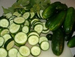 Salmonella Infected Cucumber Lawsuit | Columbia, South Carolina