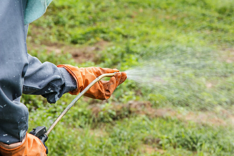 Roundup Worker