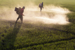 Men Spraying Paraquat