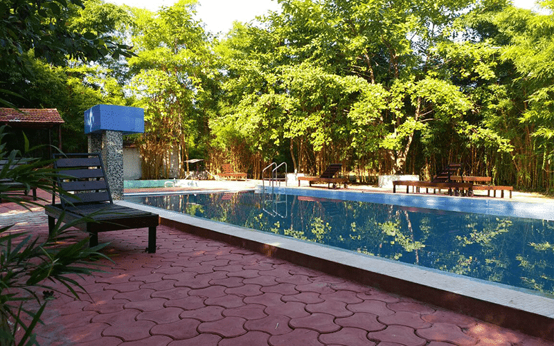 swimming pool in kanha hotel