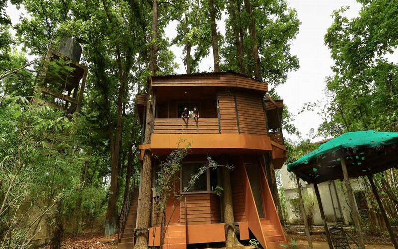 tree house hotel