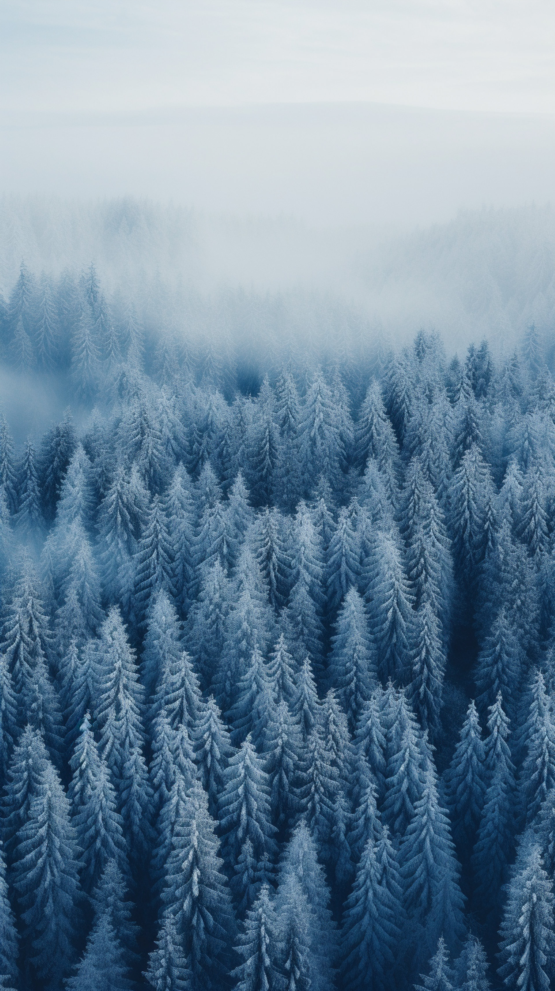 Aerial Snow Coverage Wallpaper