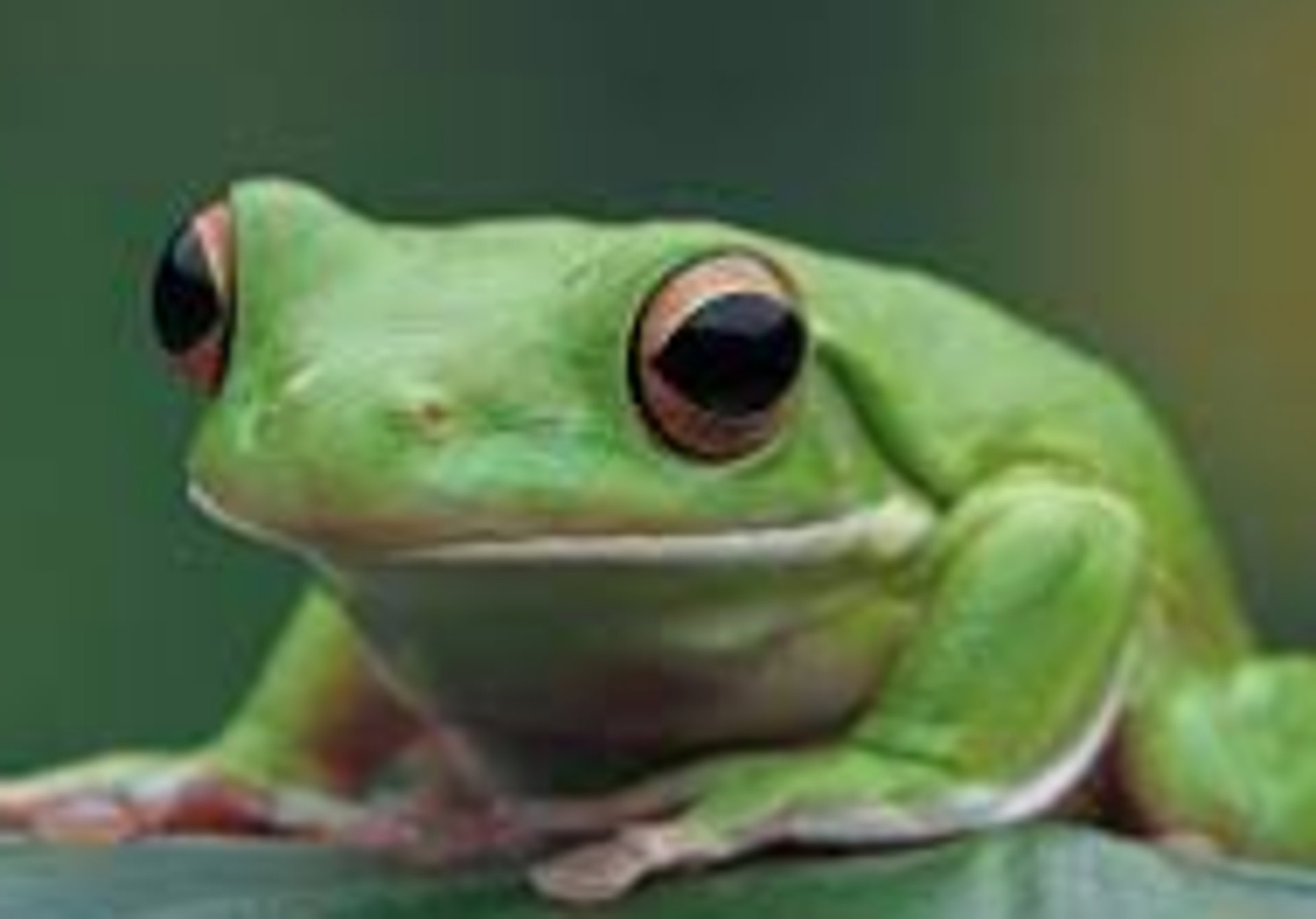 Embark on a Quest for Epic Loot