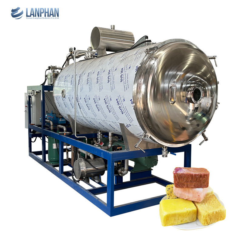 Industrial Lyophilizer Vacuum Freeze Dryer for Fruit Vegetable Freeze Dried Food Machine PLC Pump 100kg Capacity SUS304