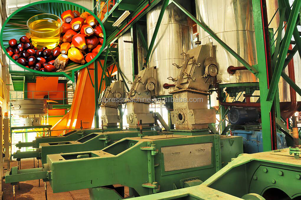 0.5t/h - 10t/h Industrial Crude Palm Oil Press Line with Sterilizer Separator Expeller and Clarify Machine Customizable