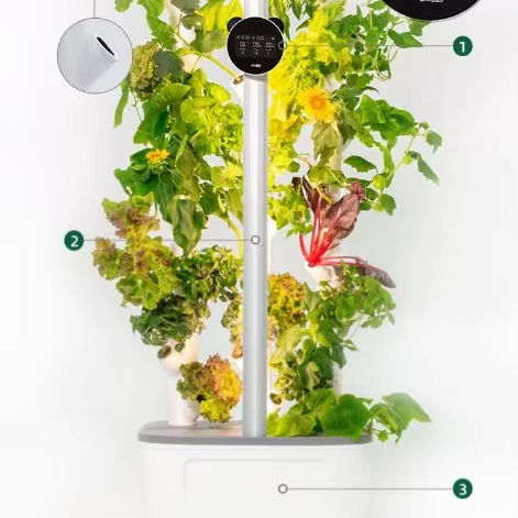 Smart Home Gardening Hydroponic System with Smart Pots & Planters Modern Home Automation for Urban Farming