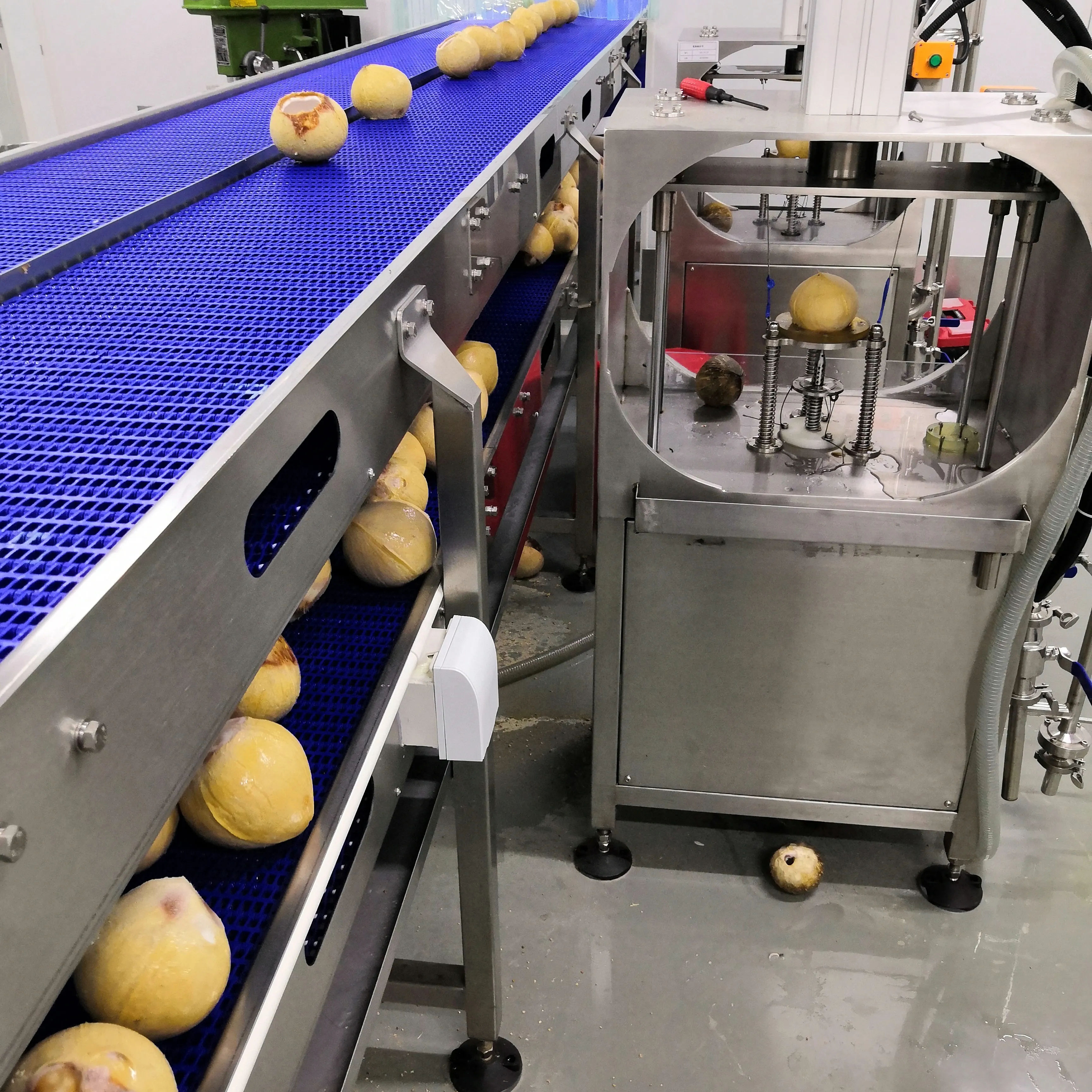 Young Coconut Water Processing Plant Production Machine